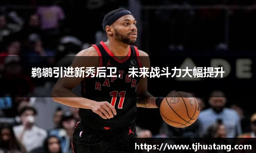 鹈鹕引进新秀后卫，未来战斗力大幅提升